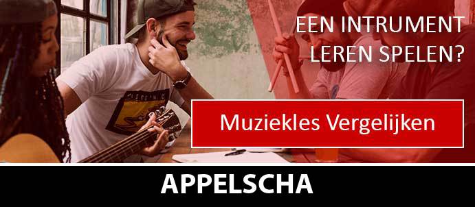 muziekles-muziekscholen-appelscha