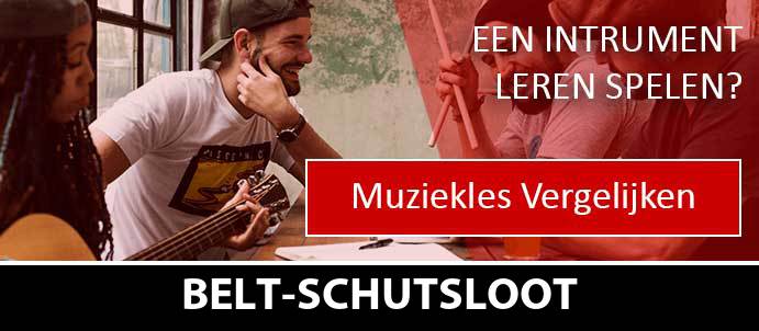 muziekles-muziekscholen-belt-schutsloot