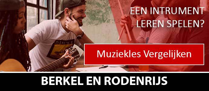 muziekles-muziekscholen-berkel-en-rodenrijs