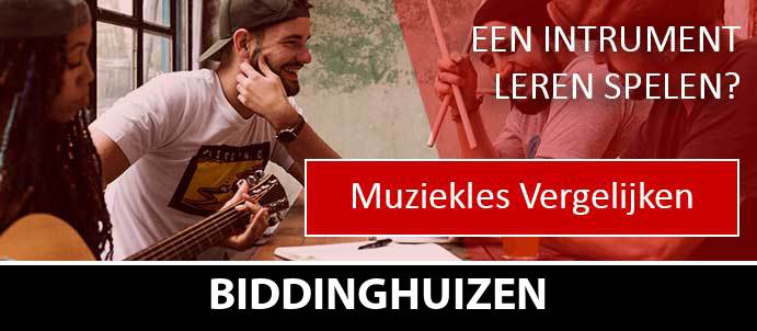 muziekles-muziekscholen-biddinghuizen