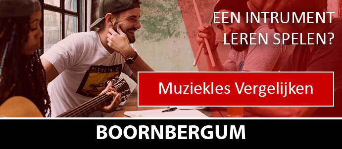 muziekles-muziekscholen-boornbergum