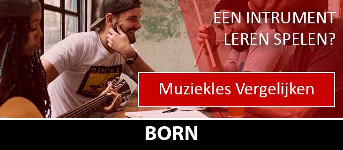 muziekles-muziekscholen-born