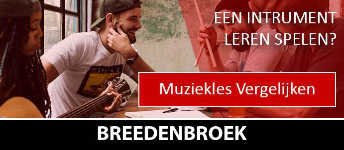 muziekles-muziekscholen-breedenbroek