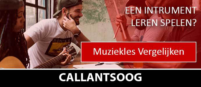 muziekles-muziekscholen-callantsoog