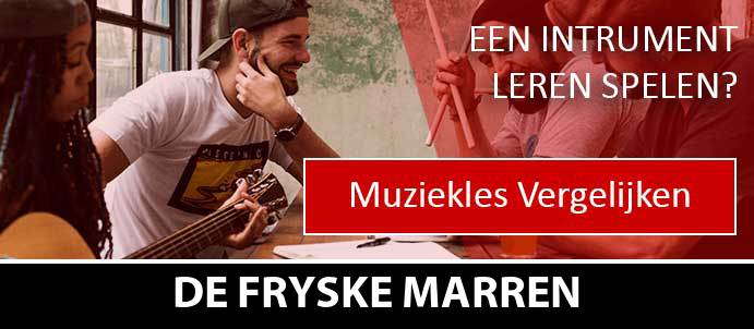 muziekles-muziekscholen-de-fryske-marren