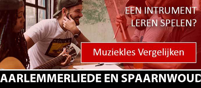 muziekles-muziekscholen-haarlemmerliede-en-spaarnwoude