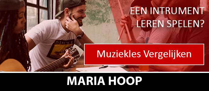 muziekles-muziekscholen-maria-hoop