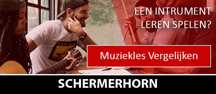 muziekles-muziekscholen-schermerhorn