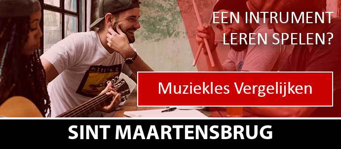 muziekles-muziekscholen-sint-maartensbrug