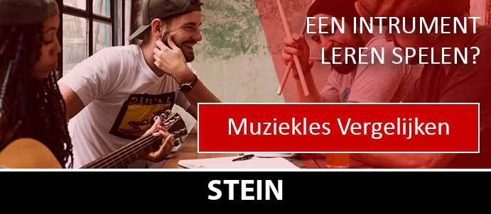 muziekles-muziekscholen-stein