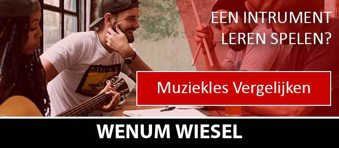 muziekles-muziekscholen-wenum-wiesel