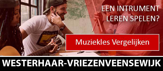 muziekles-muziekscholen-westerhaar-vriezenveensewijk