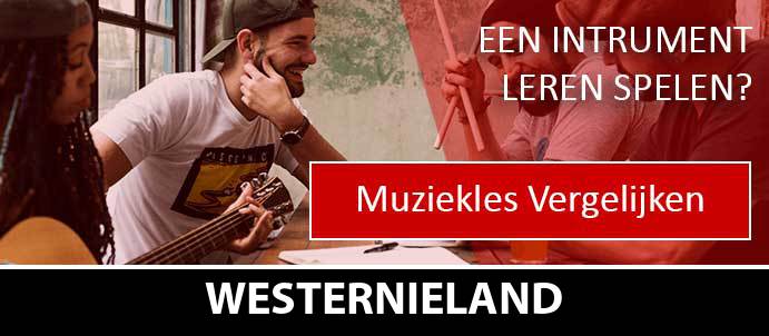 muziekles-muziekscholen-westernieland
