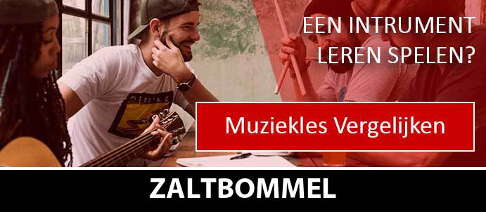 muziekles-muziekscholen-zaltbommel